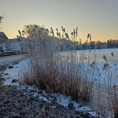 Odin Херингсдорф